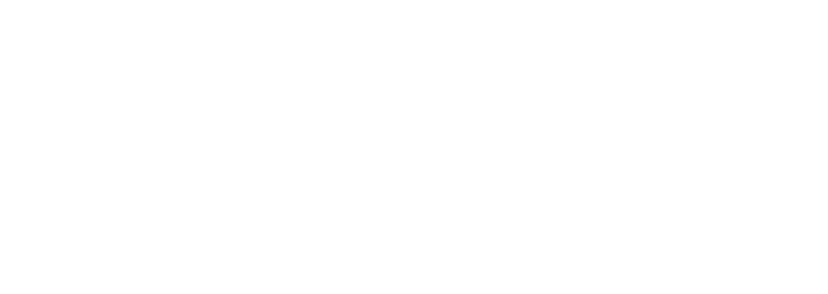 Sophia AI